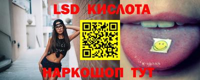 крисы Абакан
