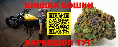 крисы Абакан