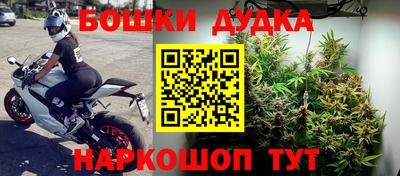 крисы Абакан
