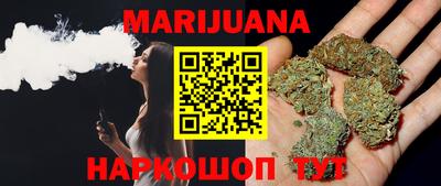 крисы Абакан