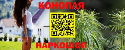 прущие грибы Азнакаево