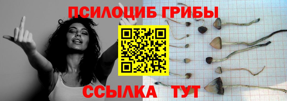 Псилоцибиновые грибы мицелий  Вход с VPN  Азнакаево  Псилоцибиновые грибы Magic Shrooms 