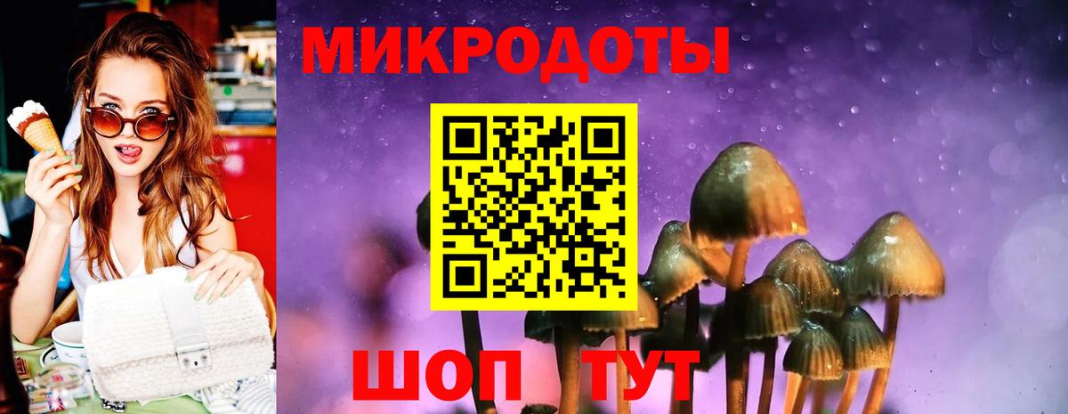 Псилоцибиновые грибы прущие грибы Азнакаево